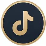 icon-tiktok